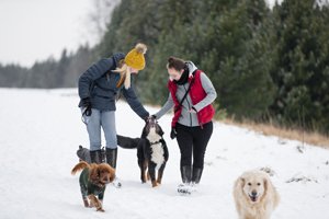 Women walking with dogs in winter