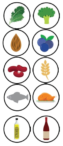 Illustrations of food